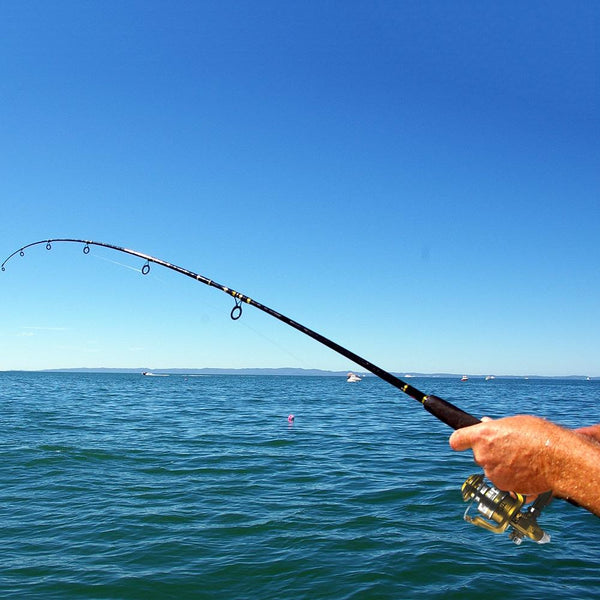 Fishdrops 12 + 1BB Left Right Interchangeable Spinning Reel