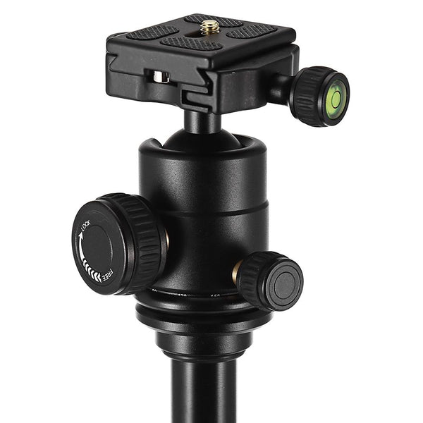 QZSD Q166A Photography Digital Camera Tripod Mini Bracket with Pan Tilt