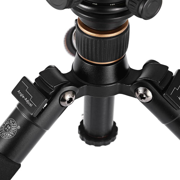 QZSD Q166A Photography Digital Camera Tripod Mini Bracket with Pan Tilt