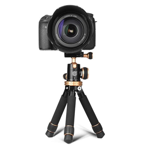 QZSD Q166Z SLR Camera Mini Portable Multifunction Tripod