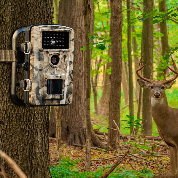 PH700A Waterproof Infrared Outdoor Camera - CBXMall.com | Best Prices ➤ Fast DELIVERY | ✈ Free Standard Shipping over 100+ Countries Worldwide